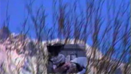 Als der Bruder meiner Mutter geboren wurde, duftete es nach wilden ... by Pipilotti Rist