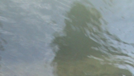 Water Portrait IV, Portrait of Asja Trost, by Evelin Stermitz
