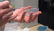 Epidermic! DIY Cell Lab by subRosa